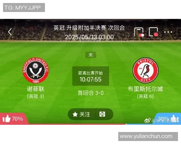 布里斯托尔城队与谢菲尔德星期三的精彩对决分析与展望